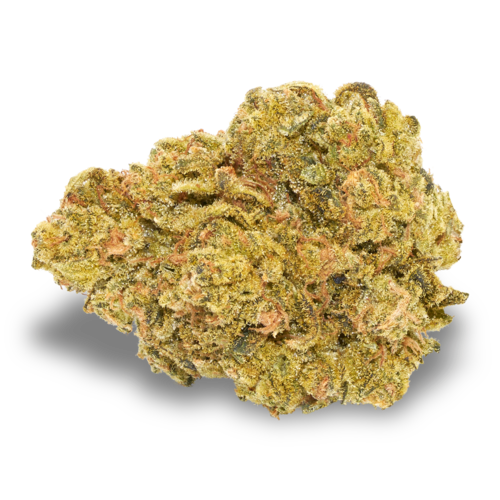 Cypress (5g)