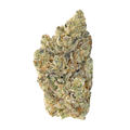 Jet Fuel Gelato - Broken Coast (10g)