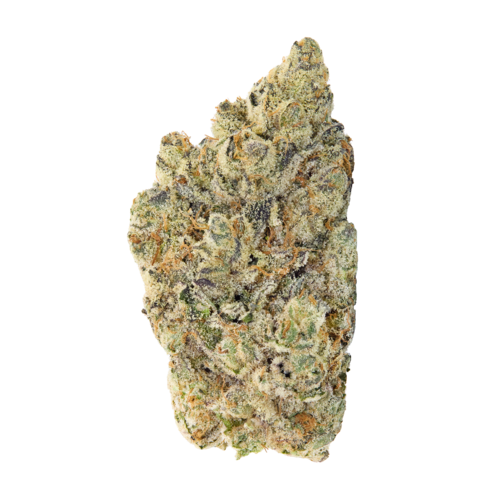 Jet Fuel Gelato - Broken Coast (10g)