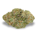 Aphria Kasba (10g)