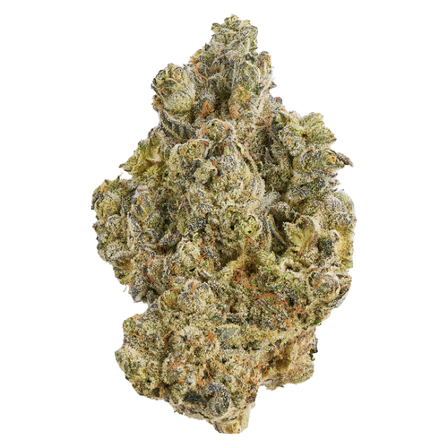 Broken Coast - La Bomba (7g)