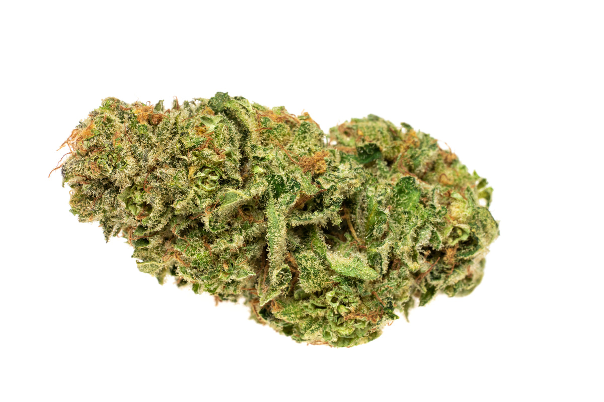 Symbios Nordle (15g)