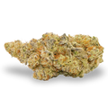 Broken Coast - Pix 7 (5g)