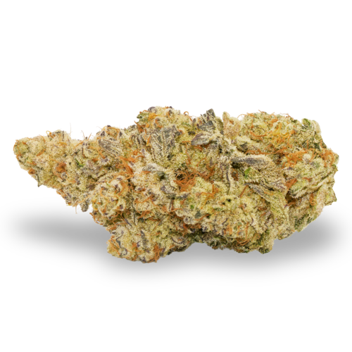 Broken Coast - Pix 7 (5g)