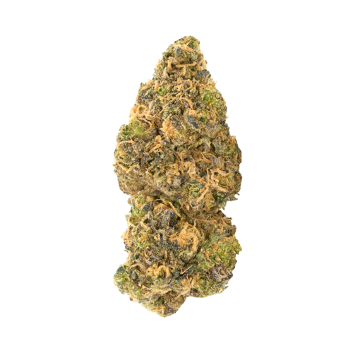 Purple Churro #88 (10g)