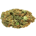 Symbios Treasure Island (15g)