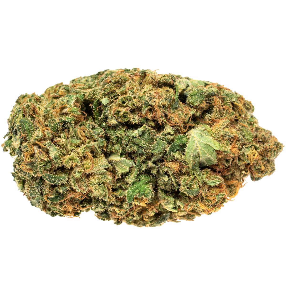 Symbios Treasure Island (15g)