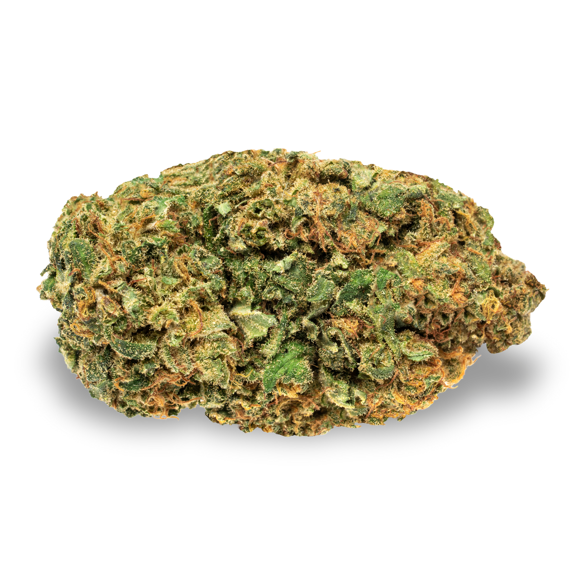 Tremblant (5g)