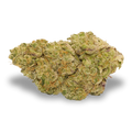 Broken Coast - Zebra Ztripez 26 (5g)