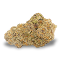 Broken Coast - Zebra Ztripez #11 (5g)