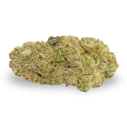 Broken Coast - Zebra Ztripez #50 (5g)
