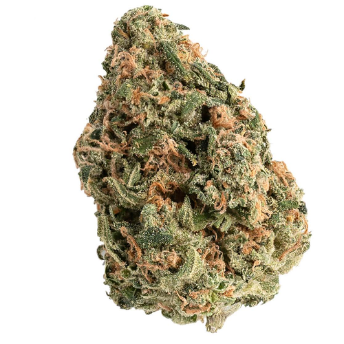 Amnesia OG (10g)