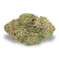 Kasba (5g)