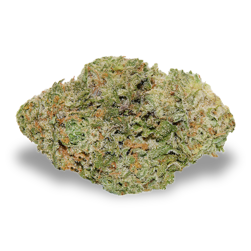 Kasba (5g)